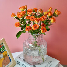 远方的花 多头玫瑰花生活鲜花速递 多头泡泡10枝 随机色