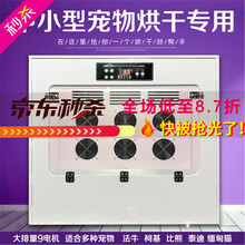 定时全自动宠物烘干箱洗澡家用吹水机中大型猫狗通用烘干机迈森睿厨 加大型（9个电机2800瓦）