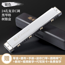 国光口风琴24孔复音 重音C调初学者中老年人成人儿童学生专业演奏级入门口风琴乐器 星空银|纪念版-复音24孔+自学礼包+视频教程