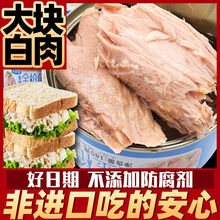 水浸金枪鱼罐头油浸即食吞拿鱼寿司沙拉健身材料轻食速即食185克 油浸185g*2罐