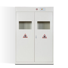钱柜气瓶柜防爆柜安全柜 医院实验室用柜 灰白色三瓶柜