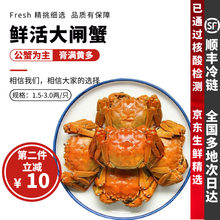大闸蟹8-16只六月黄【鲜活-顺丰】礼盒装生鲜螃蟹探长活体实物河湖蟹清水大闸蟹 【只只带黄】8只装(2.5-3.0两)