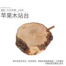 小囧家 蜜袋鼯攀爬玩具松鼠磨牙苹果木枝叉跳台楼梯宠物笼内家具用品龙猫磨牙仓鼠玩具松鼠玩耍用品 苹果木跳台