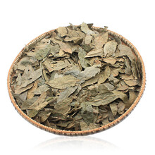 中药材青钱柳叶 张家界特级青钱柳原叶古树金钱柳茶500克