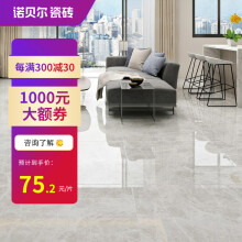 室内瓷砖 价格 图片 品牌 怎么样 京东商城