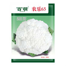 松花菜种子 价格 图片 品牌 怎么样 京东商城