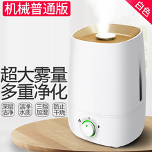 加湿器 迷你小型家用空气雾化净化家用卧室办公室桌面孕妇婴儿倍力乐补水喷雾USB 【双喷头】大雾量加湿器（大容量款）3300ml