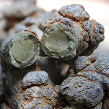 康中尊 三七文山三七纯37无剪口春田七20头30头春三七可代磨三七粉 40头20个无剪口【250克】