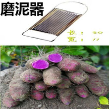 赣南紫山药新鲜现挖紫大薯脚板薯农家蔬菜正宗铁棍怀山紫玉淮山药 精选5斤装带磨泥器