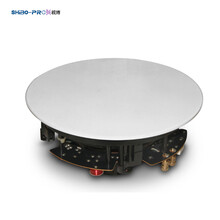 视博（SHIBO-PRO）C800复合边中低音单元和球顶高音同轴设计高性能吸顶安装扬声器 C600