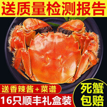 【活蟹】蟹品煌大闸蟹现货 超大 鲜活特大螃蟹 六月黄螃蟹全公母蟹 生鲜活蟹水产 礼盒装 大闸蟹2.4-2.7两12只装
