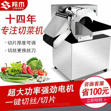 羚木切菜机商用全自动多功能切菜器土豆切片切丝切丁机商用封闭式学校酒店食堂用电动蔬菜切菜机 中型30(切片切丝)