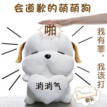 520情人节生日道歉礼物送女友朋友老婆哄女友神器实用异地恋 礼盒-呆萌狗35cm蜡笔小新声音(消消气).拍打会