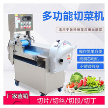 钦樽 切菜机商用切菜机数控双头切菜机双调频切菜机食堂切菜机学校用酒店厨房不锈钢蔬菜刨片机 数控切菜机（304不锈钢）