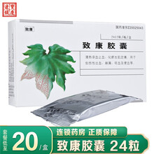 致康 致康胶囊 0.3g*24粒 1盒装