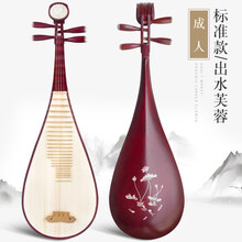 红木琵琶乐器初学入门成人儿童弹拔琵琶演奏民族乐器琵琶配件考级 成人标准款出水芙蓉【送教程+全套+10年保修】