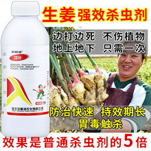 生姜专用农药大姜专用杀虫药杀虫剂食心地老虎地下害虫专用药通杀 1000ml