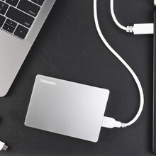 【京闪配送】TOSHIBA/东芝移动硬盘flex 2t高速TypeC苹果电脑mac 银色 官方标配