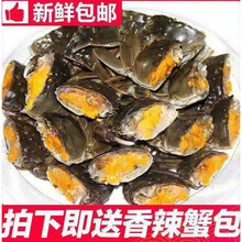 活鲜【冷链运输】江苏大闸蟹鲜活现货活体六月黄螃蟹特大公母蟹礼盒装罗莫利得 2.3-2.8两4公4母