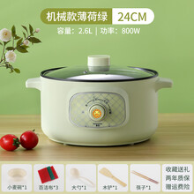 科仕顿电炖锅家用多功能煮粥神器全自动2人3人快速熬煮粥煲粥稀饭锅 薄荷绿（机械版）24cm麦饭石