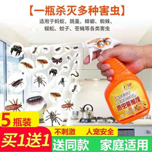 户净 杀虫喷雾剂 家庭害虫床上通用型蟑螂潮虫跳蚤虫苍蝇蚊子虱子蚂蚁杀虫剂蟑螂全窝端杀虫喷射剂 杀虫喷射剂【五瓶装】