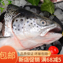 虹鳟三文鱼头超大冰鲜海鲜水产炖汤食材鱼头 当天现切三文鱼头(不去腮) 10只装(超划算 购买)