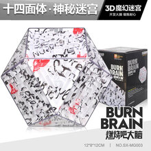 强大脑3d立体魔方迷宫走珠儿童智力开发专注力训练动脑玩具 3D魔方立体迷宫【14面体】神秘迷宫(2礼)