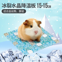 宠尚天 仓鼠夏天降温用品消暑散热板宠物夏季专用冰垫 金丝熊冰裂蓝水晶降温板 15*15cm