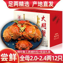 【活蟹】12只装臻原生阳澄湖六月黄大闸蟹鲜活螃蟹现货海鲜水产生鲜蟹类礼盒 全母蟹：2.0-2.4两（12只）