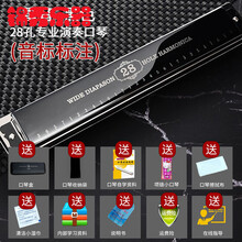 德国进口音簧天鹅28孔口琴复音C调重音初学者男女专业演奏级 C调：黑色专业演奏级28孔重音【带音标标注】