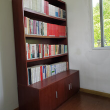 鑫诺文件柜书柜摆放柜储物柜书架