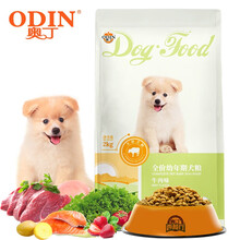 奥丁（ODIN）狗粮金毛阿拉斯加哈士奇边牧中大型犬通用型牛肉味幼犬粮2kg4斤