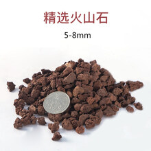 鹿骆宠具火山岩火山石鱼缸水族滤材高效培鹦鹉罗汉起头发财鱼增色珊瑚石 三斤红色火山石【5-8mm毫米】