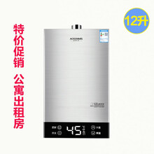上门安装 史密斯.劳伦燃气热水器家用12L16升恒温强排天然气液化煤气洗澡 优惠恒温机12升+上门安装[公寓出租房] 天然气