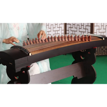 杉贝 SHANBEI 21弦小古筝便携式半筝初学者入门迷你小型古筝演奏乐器考级古筝琴抖音同款 125升级版超值