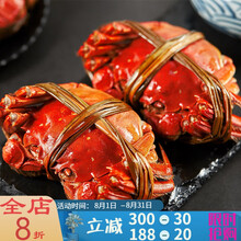 【活鲜】大闸蟹鲜活特大全公母蟹螃蟹六月黄现货礼盒装海鲜水产0.8-3.5两 塔布莫特 【大蟹12只装】3.0-3.5两