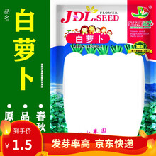 凤鸣雅世  白萝卜种子 韩国白萝卜种籽春秋菜种长阳台水萝卜菜种南方四季籽种春秋季播白萝卜种孑蔬菜种孑 小菜园白萝卜种子3克
