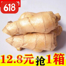 山东生姜老姜母5斤新鲜黄姜干姜块月子姜现挖现发带泥老姜 带箱5斤