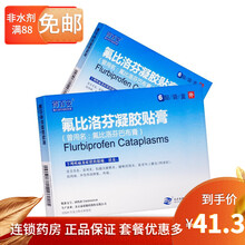 得百安 氟比洛芬凝胶贴膏 40mg*6贴 骨关节炎肩周炎肌键及腱鞘炎腱鞘周围炎肱骨外上髁炎 1盒装