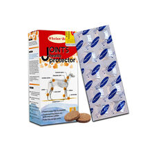 惠伦宝关节康宠物关节生狗狗关节宝鲨鱼软骨素 狗关节修复品