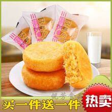 酥皮肉松饼夹心面包整箱营养早餐绿豆饼传统手工糕点甜点儿童零食 肉松饼500g【送】绿豆饼1000g