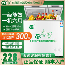 友田冷柜一级节能家用冰柜冷藏冷冻切换单双温冷冻柜小型保鲜商用大容量出租 148L单开节能款【送货入户 保修十年】