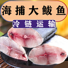 大鲅鱼马鲛鱼新鲜鲜活冷冻鲅鱼段海鱼海鲜批发 普米加罗 【精品鲅鱼段】中号 三斤装