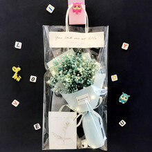 雅迎 小清新干花花束天然满天星玫瑰永生花装饰摆件生日礼物送女友闺蜜 满天星《蒂芙尼蓝》 +灯+卡片+手提袋 干花包