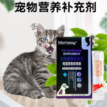 母猫禁情粉发情期抑制闹猫药公猫绝情粉防猫叫喵用静情猫咪抑情粉 公猫