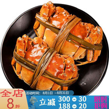 【活鲜】大闸蟹鲜活现货活体螃蟹六月黄海鲜水产全公母3两清水蟹河蟹毛蟹 塔布莫特 【2.0-1.5两  8只】只只有黄