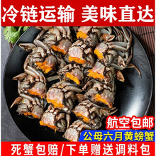 大闸蟹鲜活小螃蟹一元蟹江苏湖蟹小闸蟹生鲜食材  罗菲迪新 4-6钱-40只+加10只(六月黄)