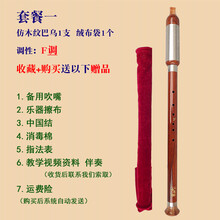杉贝 SHANBEI 巴乌胶木竖吹仿红木巴乌调降调调调小学生初学入门乐器抖音同款 套餐一:竖吹仿红木F调巴乌+绒布袋