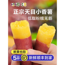 正宗天目山小香薯手指薯5斤新鲜临安板栗红薯10富硒地瓜山芋番薯 5斤 小果
