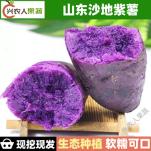 山东沙地紫薯 新鲜代餐 地瓜 农家蔬菜 软糯薯 儿童辅食 3斤大果